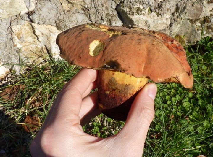 Capture d’écran 2015-10-18 à 18.05.05.jpg