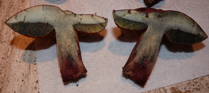 Capture d’écran 2015-10-18 à 18.46.33.jpg