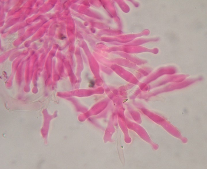 DSCF5910.JPG
