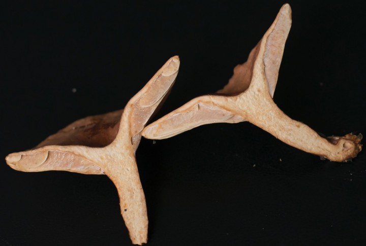 Capture d’écran 2015-10-25 à 10.40.22.jpg