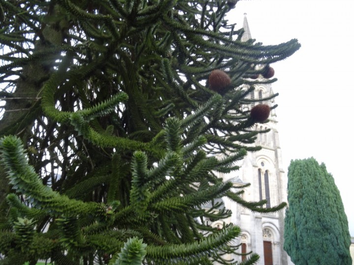 DSC01043 (800x600).jpg