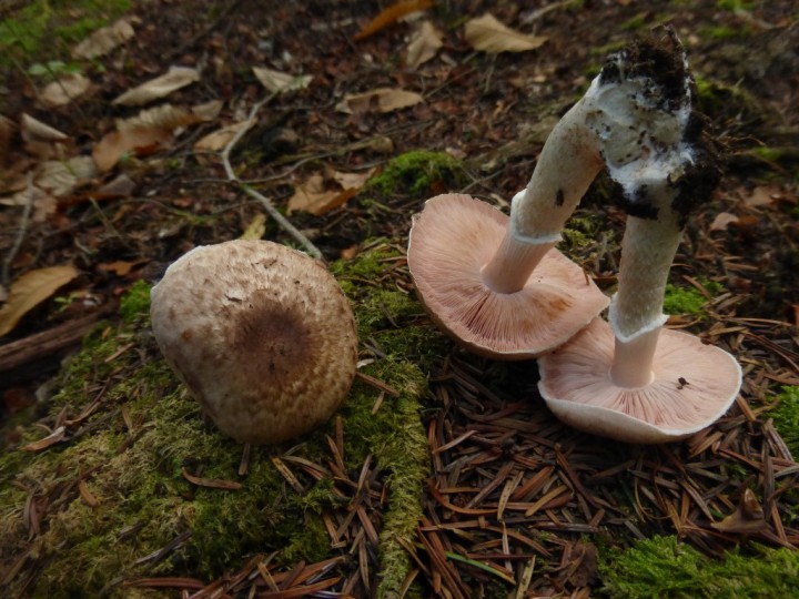 P1100613.JPG