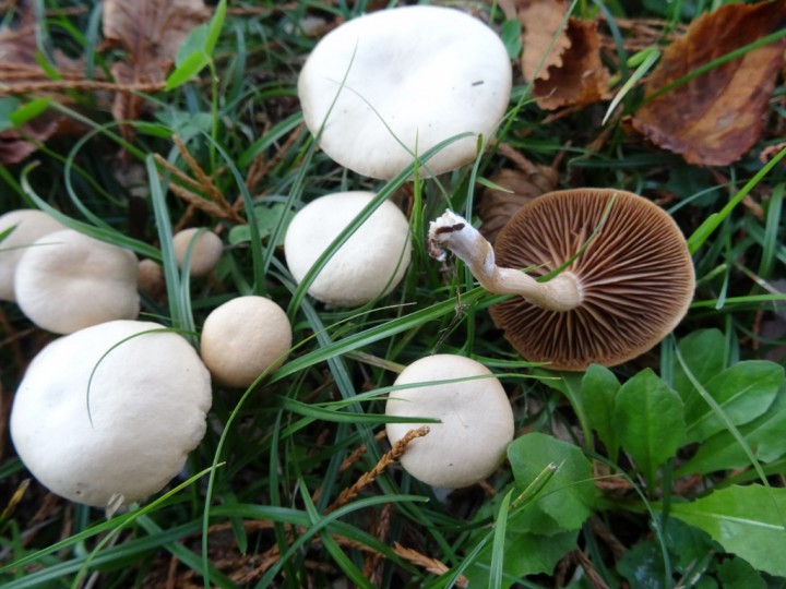 DSC01266 (1024x768).jpg