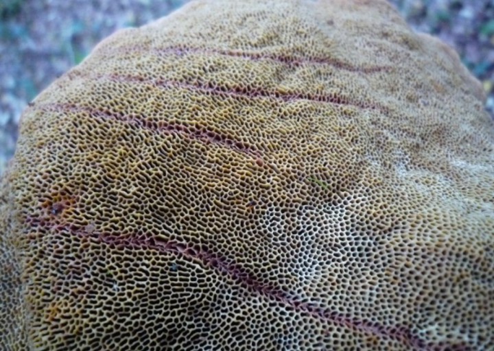copie de L1190997.JPG