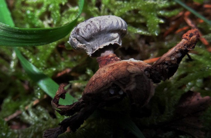 DSC01366 (1024x672).jpg