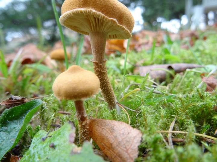 DSC01284 (1024x768).jpg