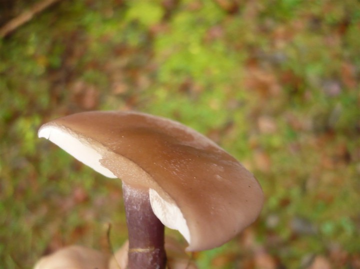 P1200168.JPG