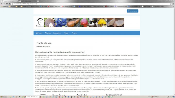 Copie d'écran nouveau site - Cliquer sur l'image pour agrandir