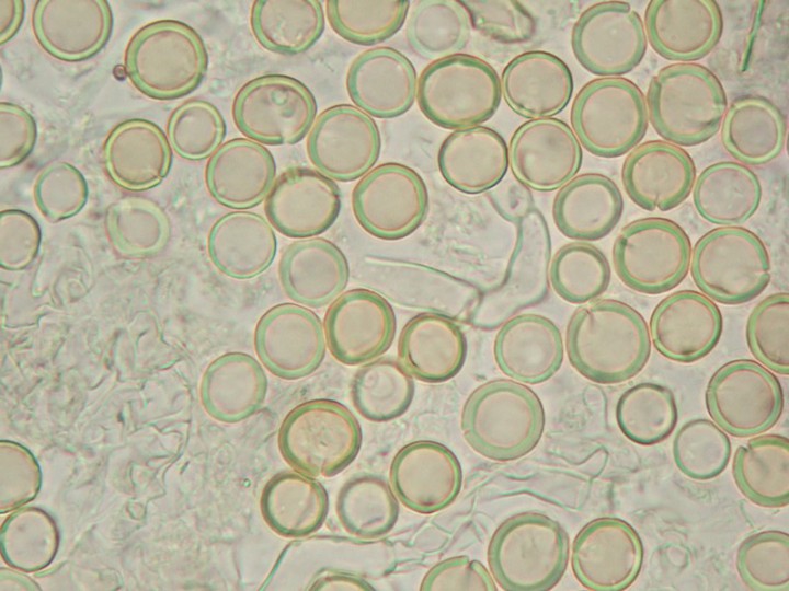 DSCF6356.JPG