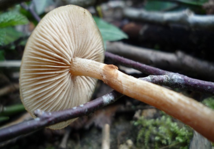 copie de L1210057.JPG