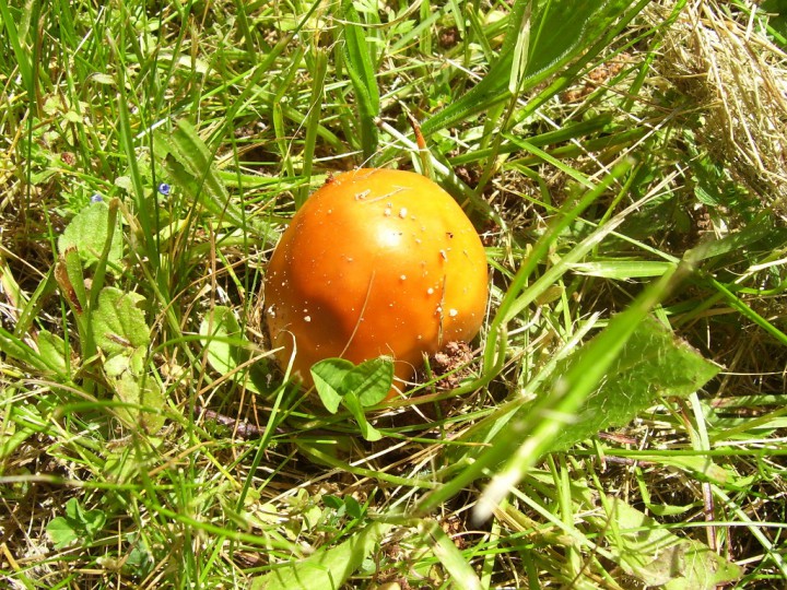 100_3924.jpg