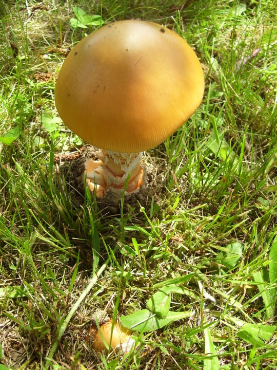 100_3963.jpg