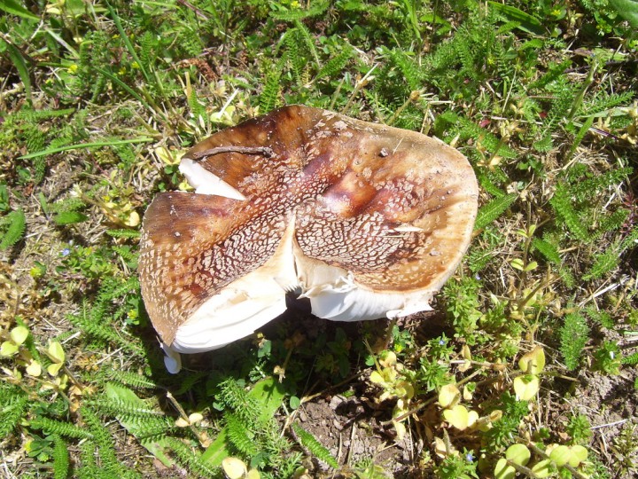 100_3933.jpg