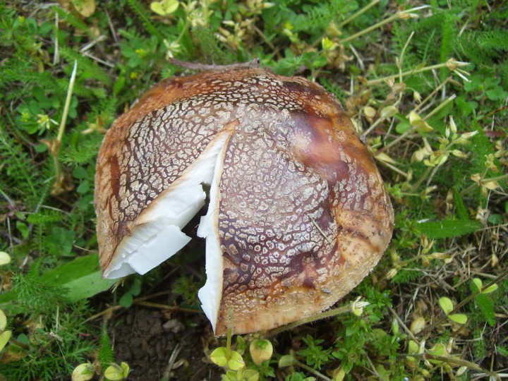100_3769.jpg