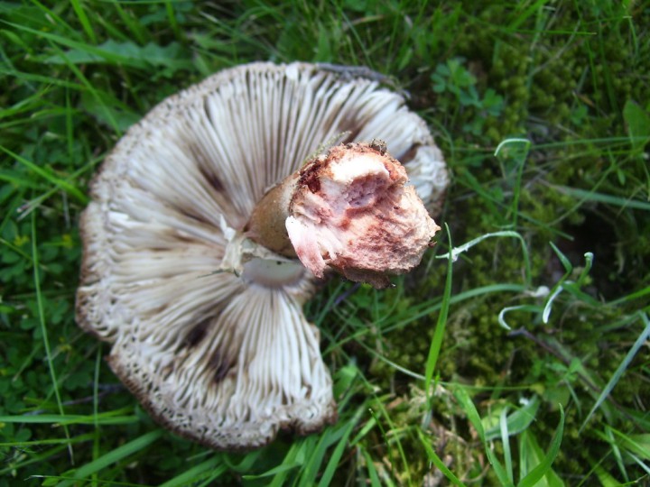 100_4075.jpg