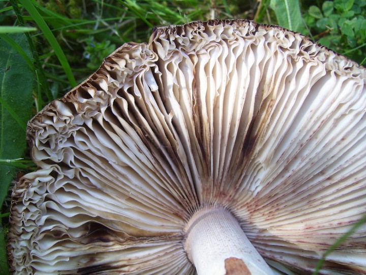 100_4089.jpg