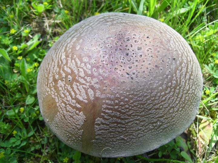100_4039.jpg