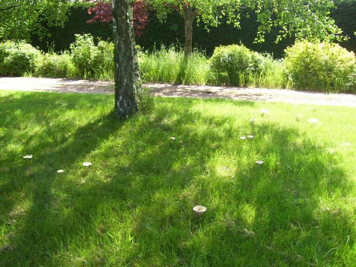100_4022.jpg