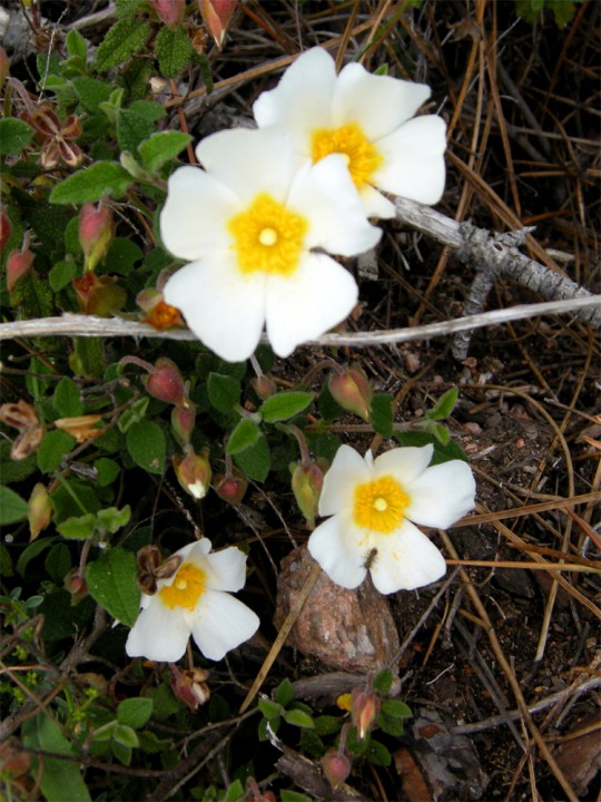 20160518_141446.jpg