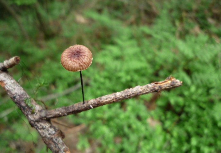 copie de L1210525.JPG