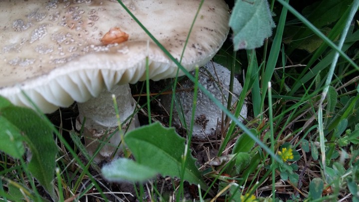 20160603_181418.jpg
