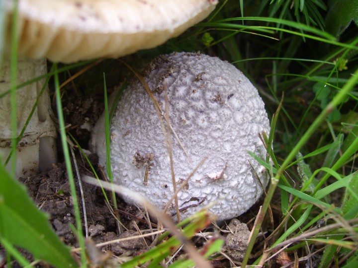 100_4208.jpg