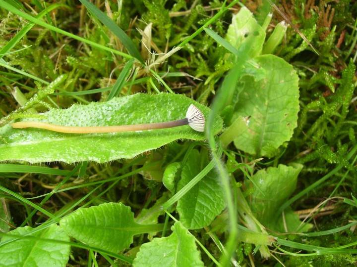 100_4364.jpg