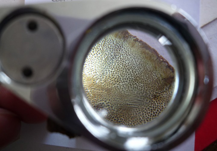 copie de L1210967.JPG