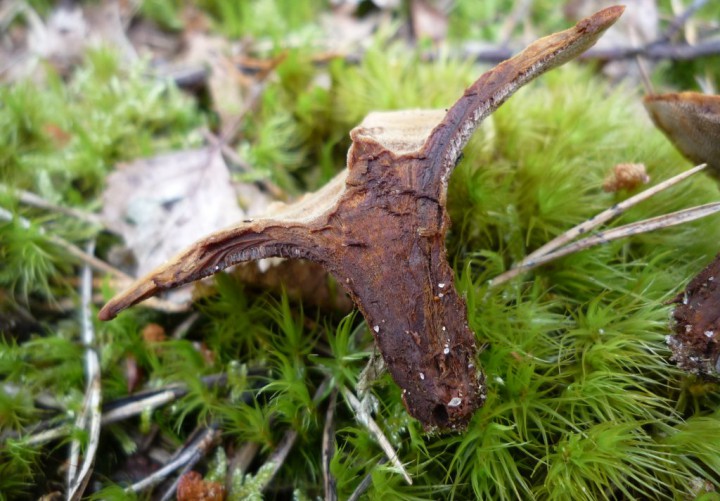 copie de L1210963.JPG