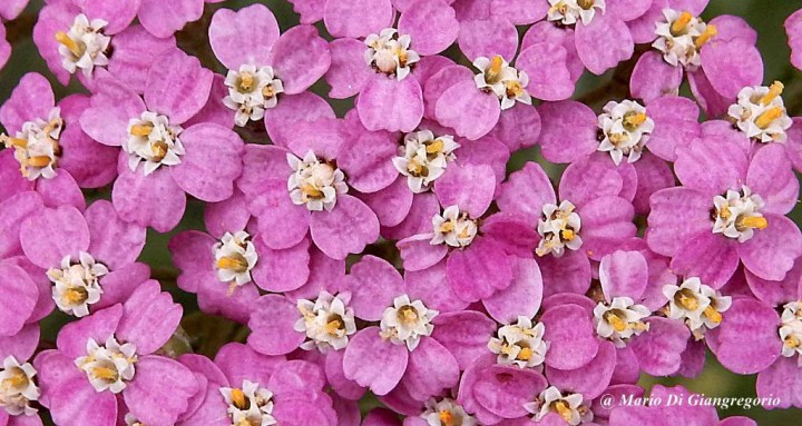 001 DSCN1398-redim1024.JPG