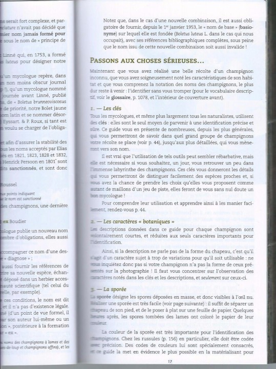 Cliquer sur l'image pour agrandir