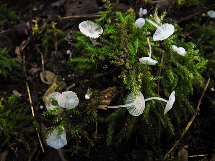 DSCN9354b.JPG