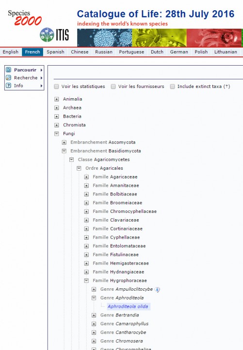Cliquer sur l'image pour agrandir