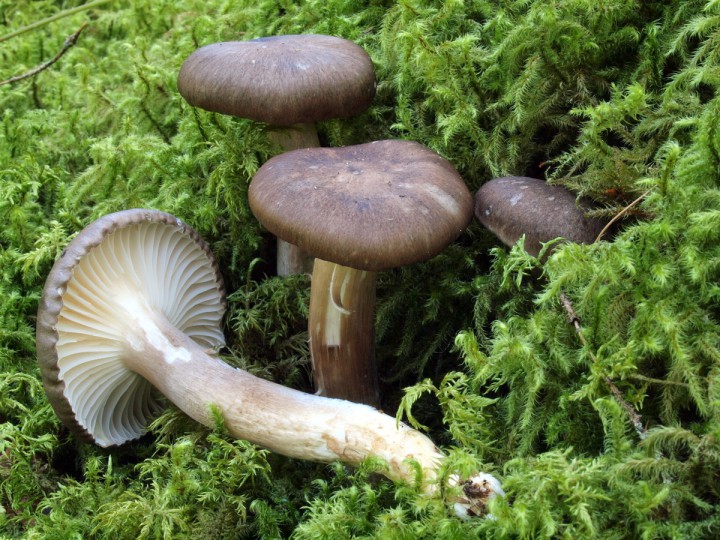 PC230790.JPG