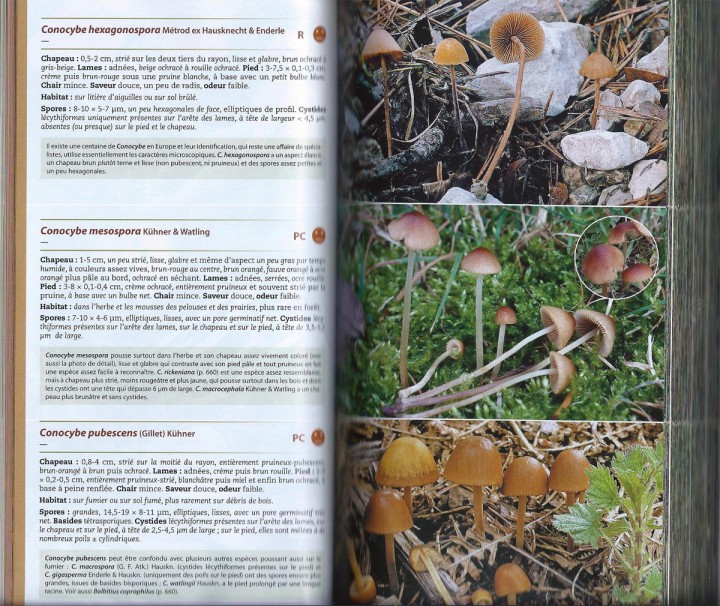 Cliquer sur l'image pour agrandir