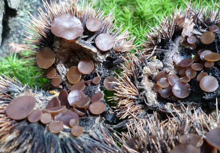 copie de L1220716.JPG