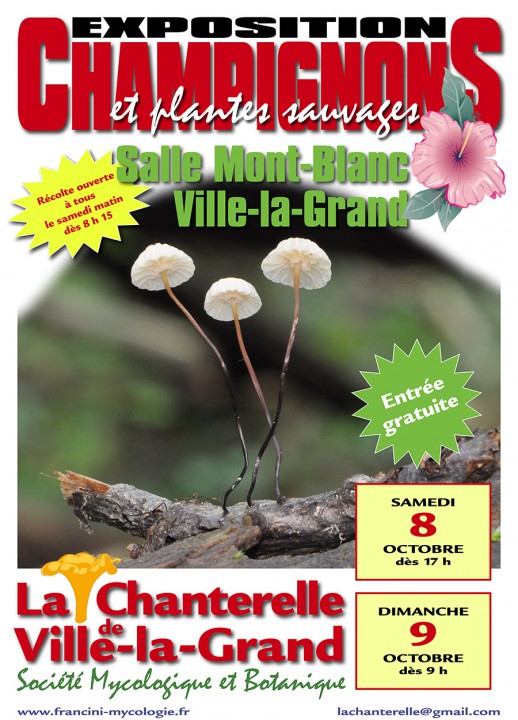 • Affiche_EXPO_couleur_2016_Affiche Expo Mont Blanc.jpg