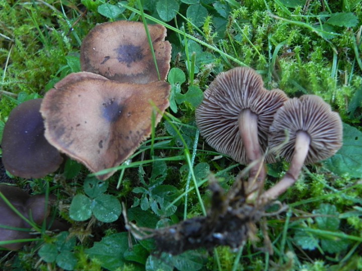 DSCN0165b.JPG