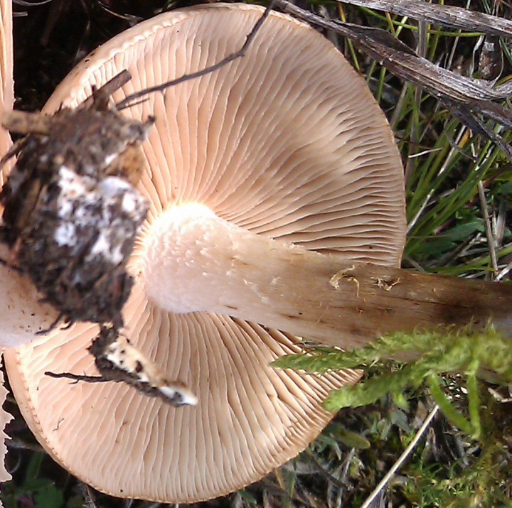 p6.jpg
