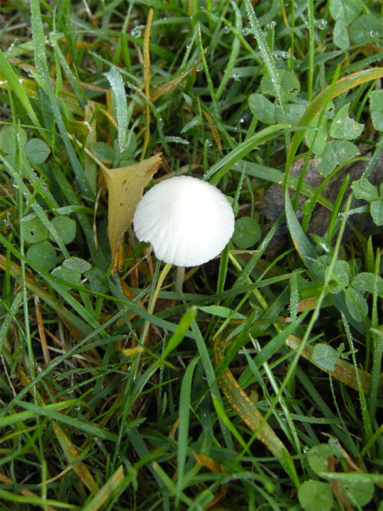 20161023_120221.jpg