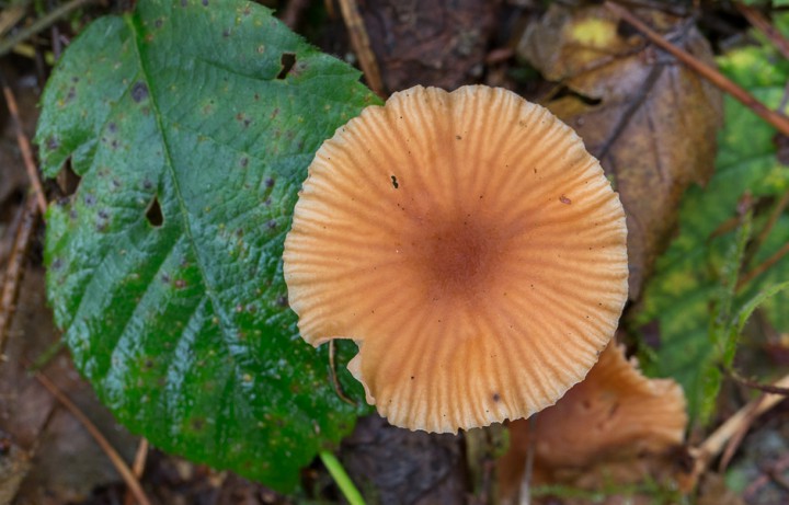20161023 115406c.jpg