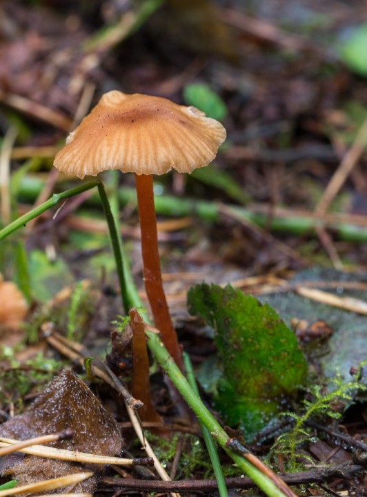 20161023 115610c.jpg