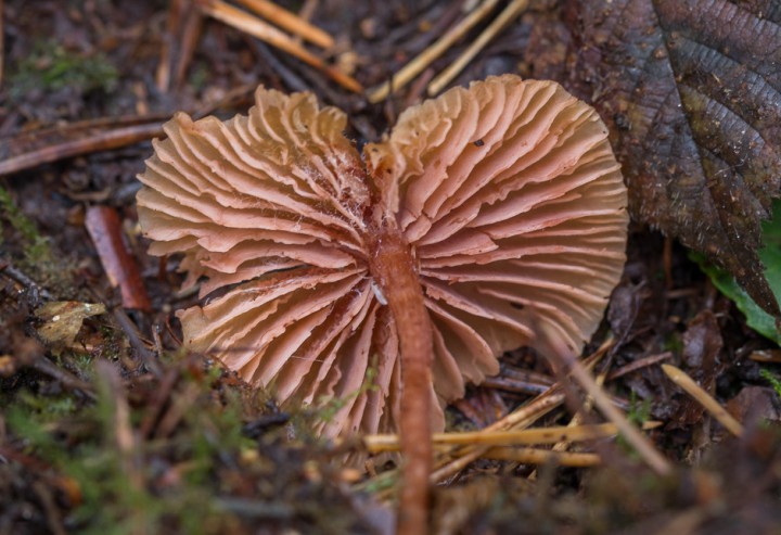 20161023 120252c.jpg