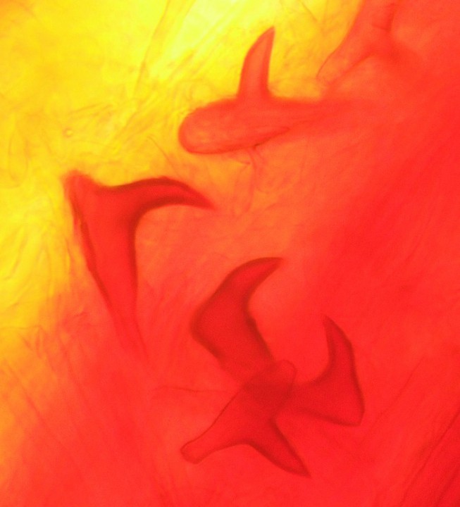 DSCF6972.JPG