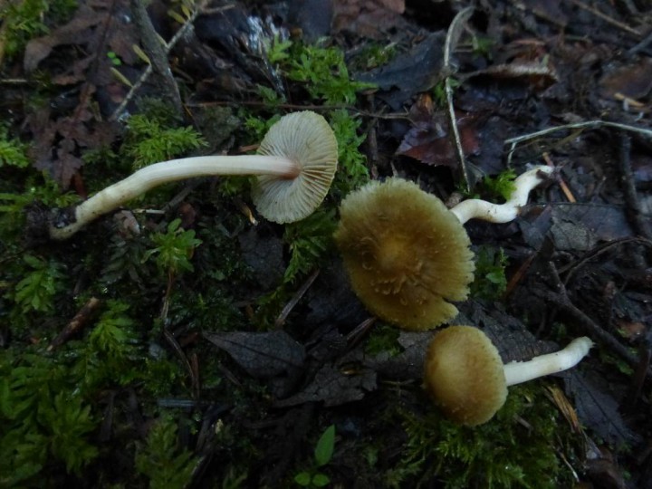 P1150785.JPG