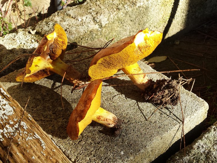 20161109_142322.jpg