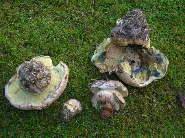 DSCN3145_640x480.jpg