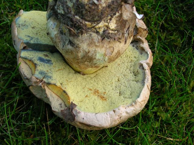 DSCN3149_640x480.jpg
