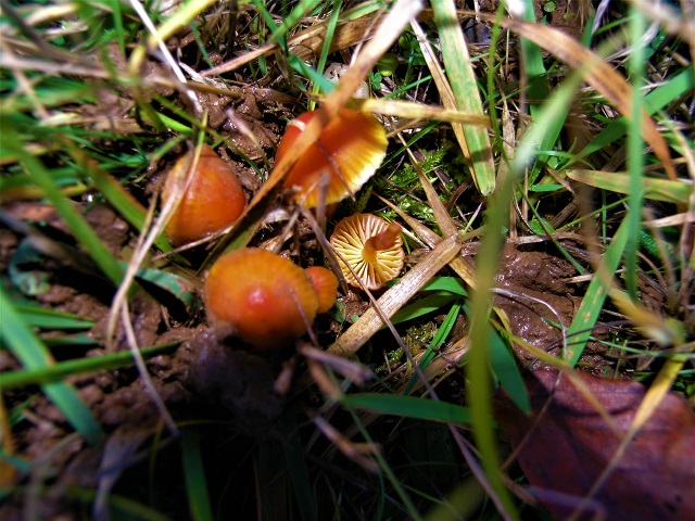 P1010276.JPG