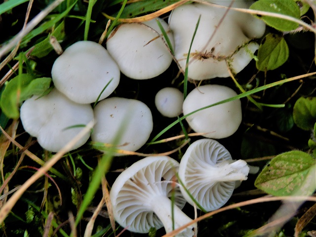 P1010284.JPG